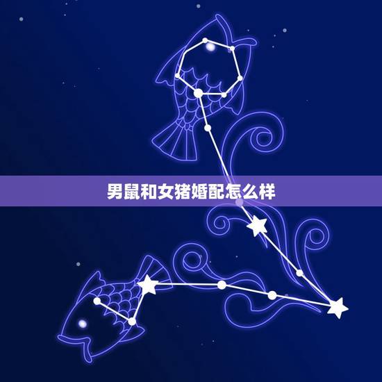 男鼠和女猪婚配怎么样,女猪和男鼠相配吗 男鼠和女猪婚配怎么样,女猪和男鼠相配吗