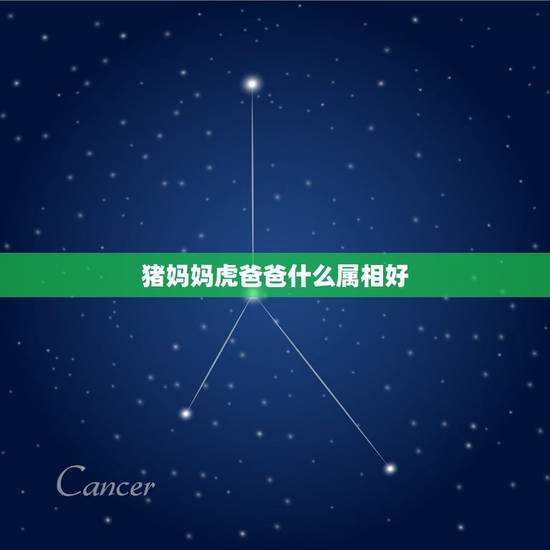 猪妈妈虎爸爸什么属相好,猪爸爸 虎妈妈 生什么属相的孩子好 猪妈妈虎爸爸什么属相好,猪爸爸 虎妈妈 生什么属相的孩子好