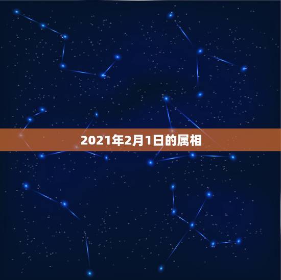 2021年2月1日的属相，2021年2月8日属什么生肖属相