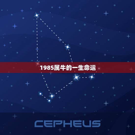 1985属牛的一生命运,85年属牛36岁有一灾 1985属牛的一生命运,85年属牛36岁有一灾