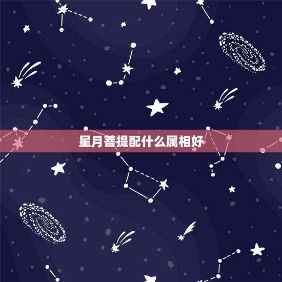 星月菩提配什么属相好，星月菩提的搭配什么配饰好？