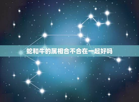 蛇和牛的属相合不合在一起好吗，属蛇的跟什么属相合财
