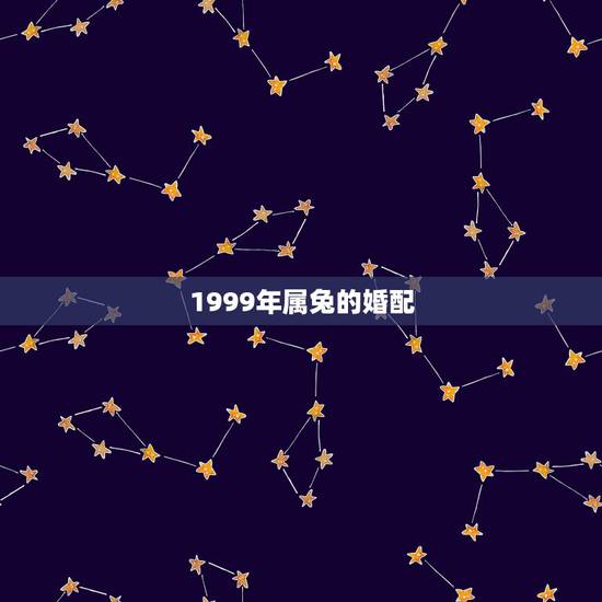 1999年属兔的婚配，1997年属牛的更佳配偶