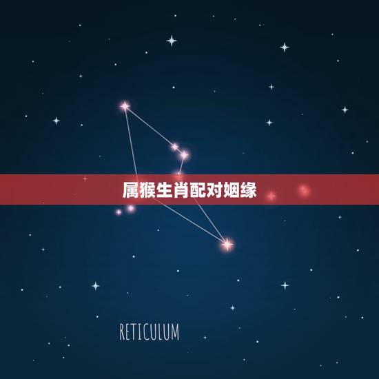 属猴生肖配对姻缘，男属猴的属相婚配表 属猴男生跟什么属相的女生恋爱合适