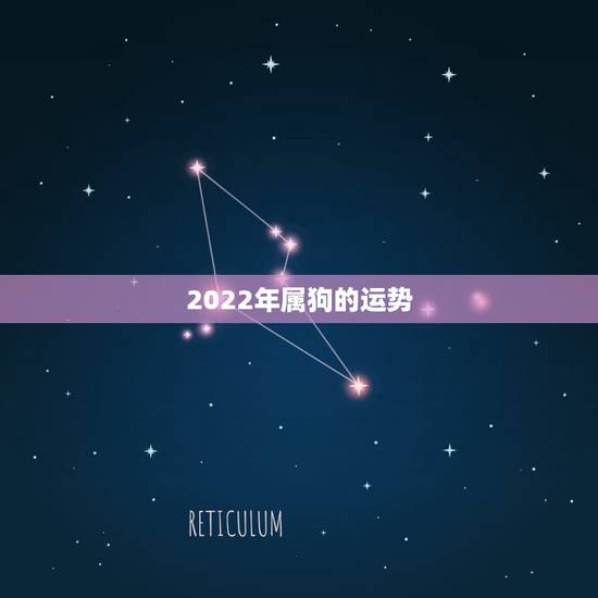 2022年属狗的运势,2022属狗人全年运势 2022年属狗的运势,2022属狗人全年运势