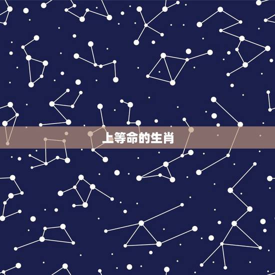 上等命的生肖,十二生肖里有什么是九条命的 上等命的生肖,十二生肖里有什么是九条命的
