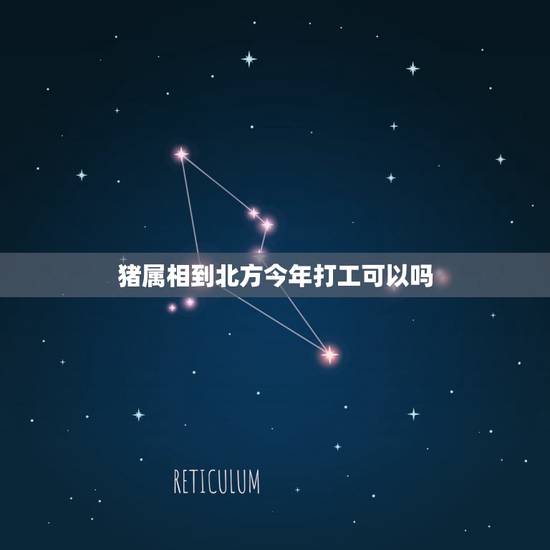 猪属相到北方今年打工可以吗,为什么阳光养猪场打工挣金币晚了接着挣福气值 猪属相到北方今年打工可以吗,为什么阳光养猪场打工挣金币晚了接着挣福气值