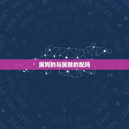 属狗的与属猴的配吗，属猴男和属狗女配吗