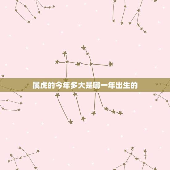 属虎的今年多大是哪一年出生的，十二生肖属虎是多少年生的？