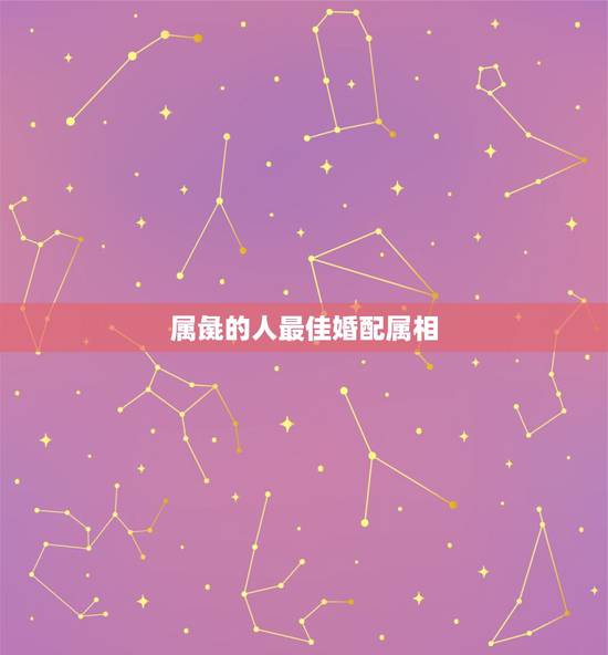 属彘的人最佳婚配属相,属鼠最佳婚配属相 属彘的人最佳婚配属相,属鼠最佳婚配属相