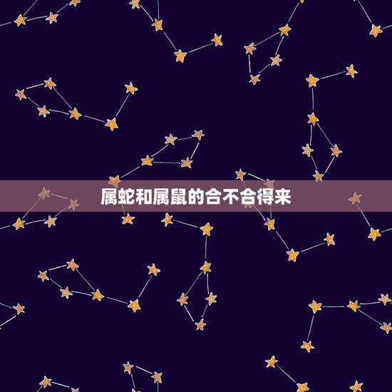 属蛇和属鼠的合不合得来,属蛇的和属老鼠的生肖合不合 属蛇和属鼠的合不合得来,属蛇的和属老鼠的生肖合不合