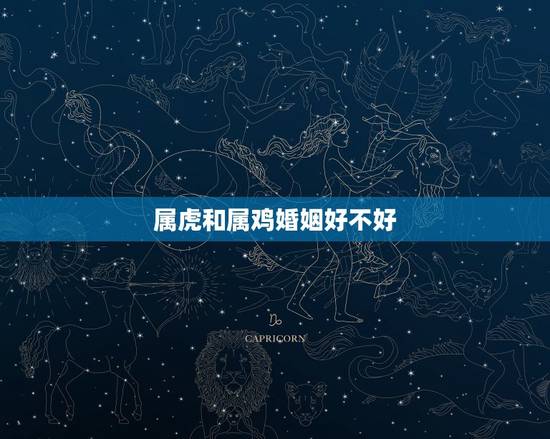 属虎和属鸡婚姻好不好 属虎和属鸡幸福值