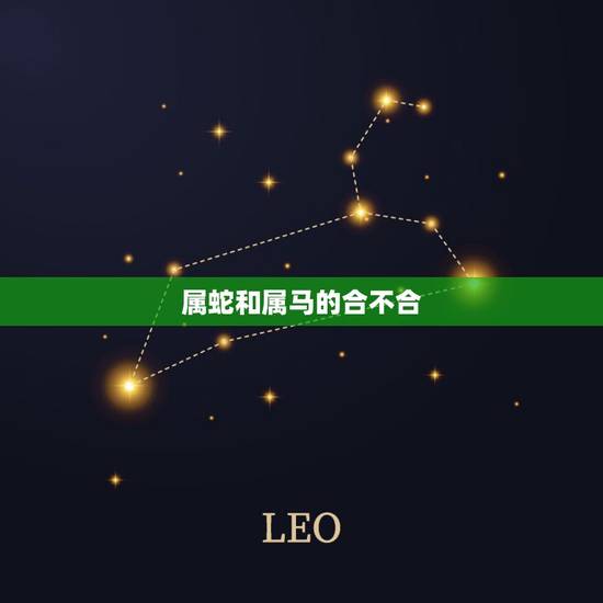 属蛇和属马的合不合，蛇和马属相合不合
