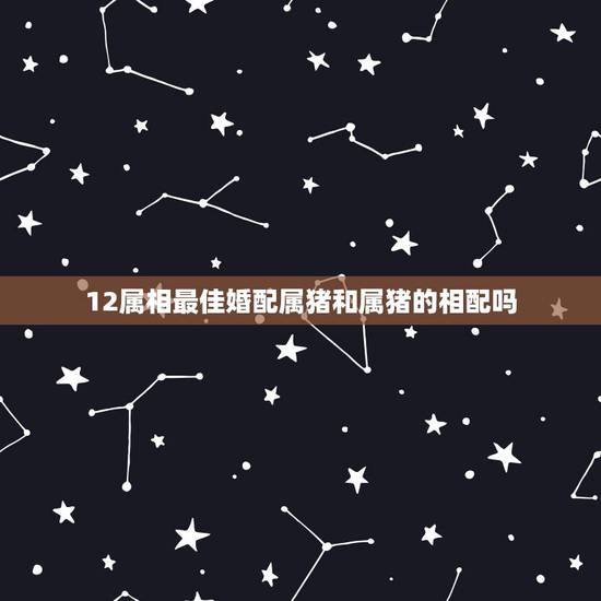 12属相最佳婚配属猪和属猪的相配吗，属猪的和什么属相最配 属猪的属相婚