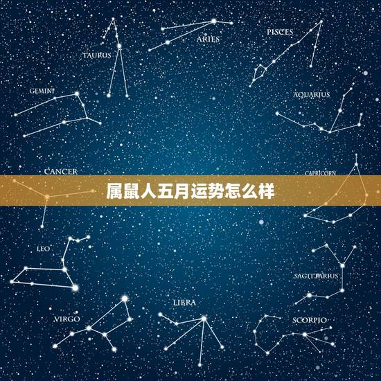 属鼠人五月运势怎么样,1972年属鼠人2021年运势运程每月运程 属鼠人五月运势怎么样,1972年属鼠人2021年运势运程每月运程