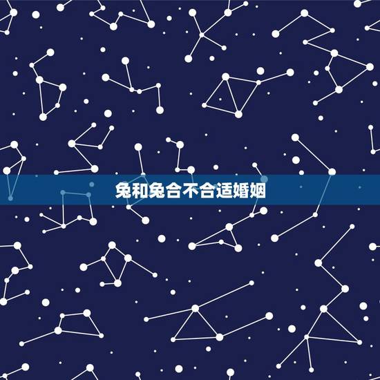 兔和兔合不合适婚姻，属兔和属兔的合财吗