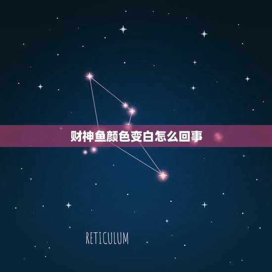 财神鱼颜色变白怎么回事，财神鱼的鱼身的颜色越来越浅了！