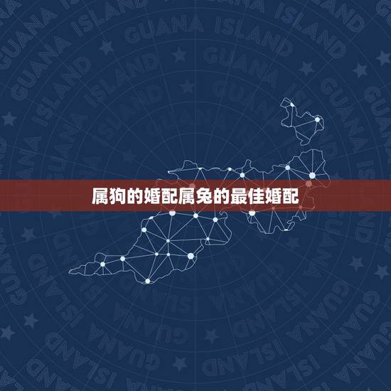 属狗的婚配属兔的最佳婚配，属相婚配：男属兔和女属狗相配吗？