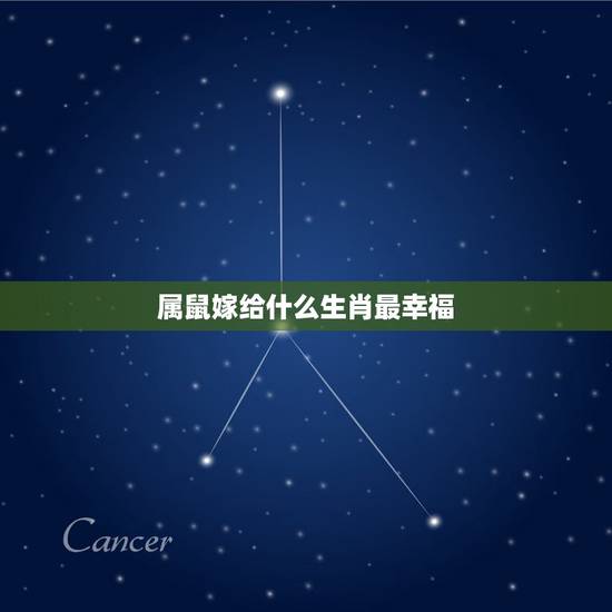 属鼠嫁给什么生肖最幸福,属鼠的和属鼠的人结婚好不好 属鼠嫁给什么生肖最幸福,属鼠的和属鼠的人结婚好不好