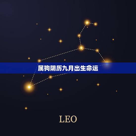 属狗阴历九月出生命运，属狗女九月生的性格特点