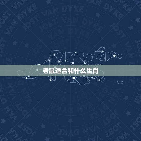 老鼠适合和什么生肖,生肖鼠和什么生肖相冲 老鼠适合和什么生肖,生肖鼠和什么生肖相冲