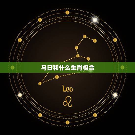 马日和什么生肖相合，属马和属马的合不合财