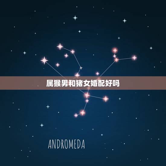 属猴男和猪女婚配好吗,属猪女的,和属猴男的,婚姻好吗 属猴男和猪女婚配好吗,属猪女的,和属猴男的,婚姻好吗