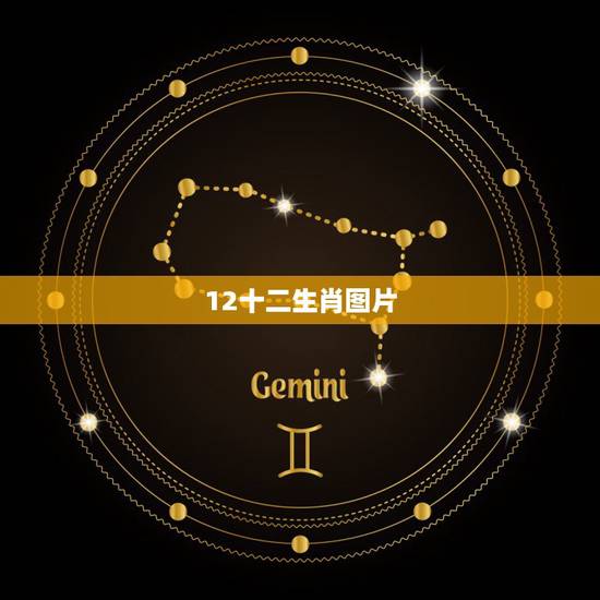 12十二生肖图片，十二生肖图片。谁有全部
