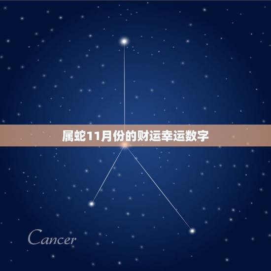 属蛇11月份的财运幸运数字，属蛇2022 下半年运势