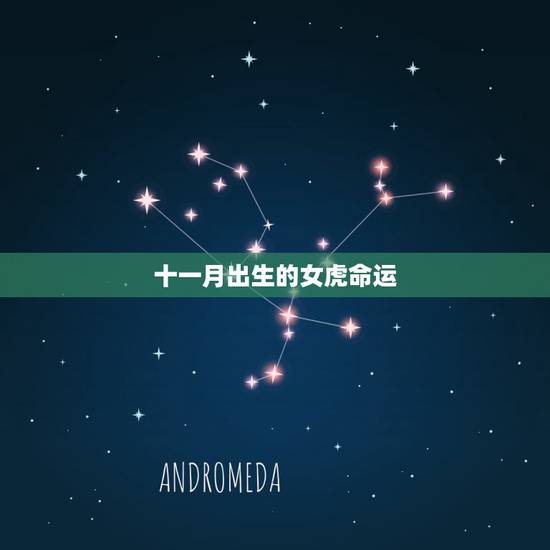 十一月出生的女虎命运,名字免费测分打分 十一月出生的女虎命运,名字免费测分打分