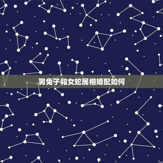 男兔子和女蛇属相婚配如何，属相婚配：男属蛇和女属兔相配吗
