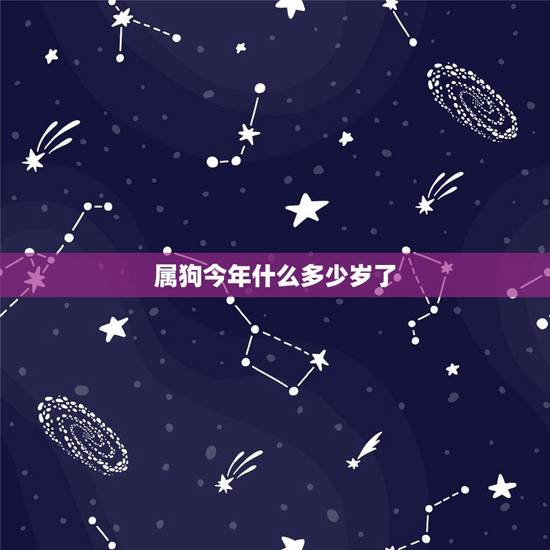 属狗今年什么多少岁了,今年属狗的是不是有坎 属狗今年什么多少岁了,今年属狗的是不是有坎
