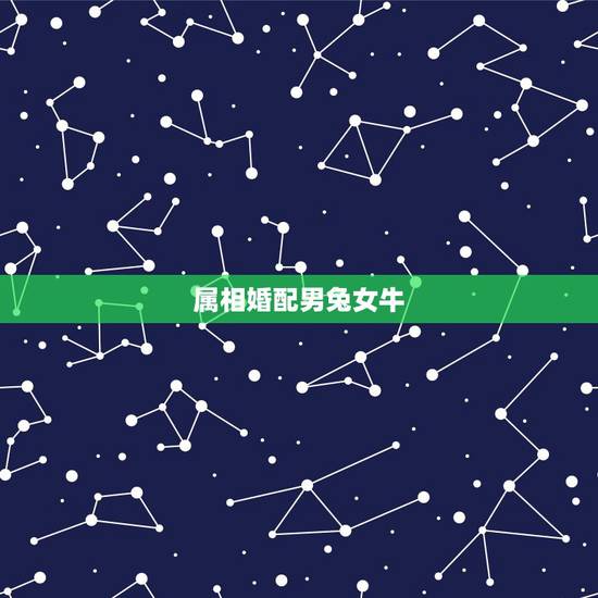 属相婚配男兔女牛，属牛男的和什么属相女最配