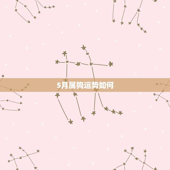 5月属狗运势如何，1982年属狗的运程农历五月十八，今年运程如何？