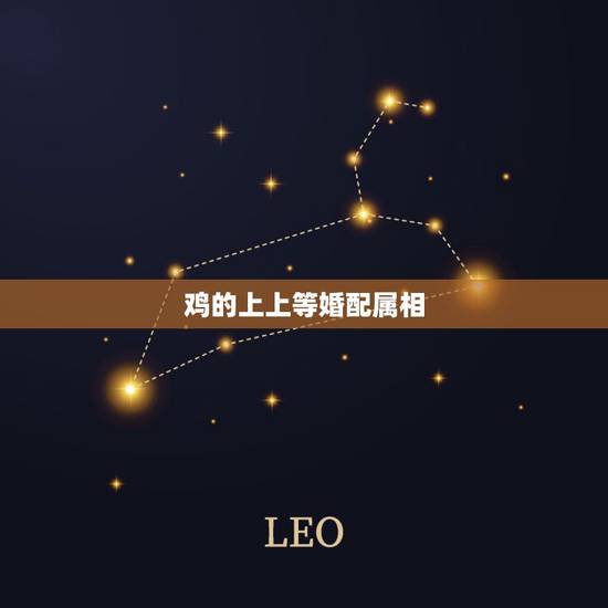 鸡的上上等婚配属相,鸡和什么生肖最配,属鸡的最佳配偶,属鸡人的性格 鸡的上上等婚配属相,鸡和什么生肖最配,属鸡的最佳配偶,属鸡人的性格