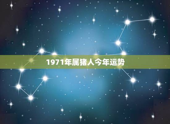 1971年属猪人今年运势，71属猪人2022 全年运程