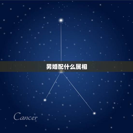 男婚配什么属相，男马找什么属相最配