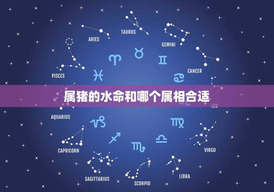 属猪的水命和哪个属相合适，父母都是属猪的大海水命，要什么属相的还子好