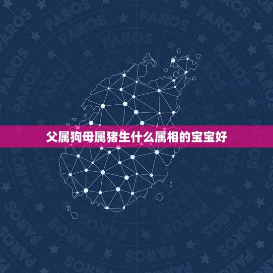 父属狗母属猪生什么属相的宝宝好,父亲属狗的和母亲属猪,生个什么属相的宝 父属狗母属猪生什么属相的宝宝好,父亲属狗的和母亲属猪,生个什么属相的宝