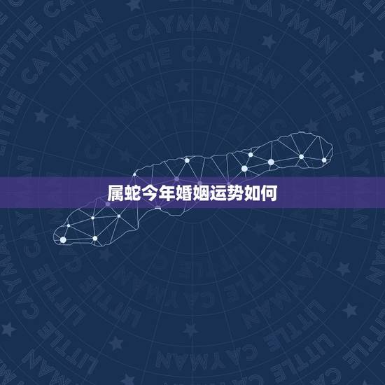 属蛇今年婚姻运势如何，属蛇今年下半年感情婚姻如何