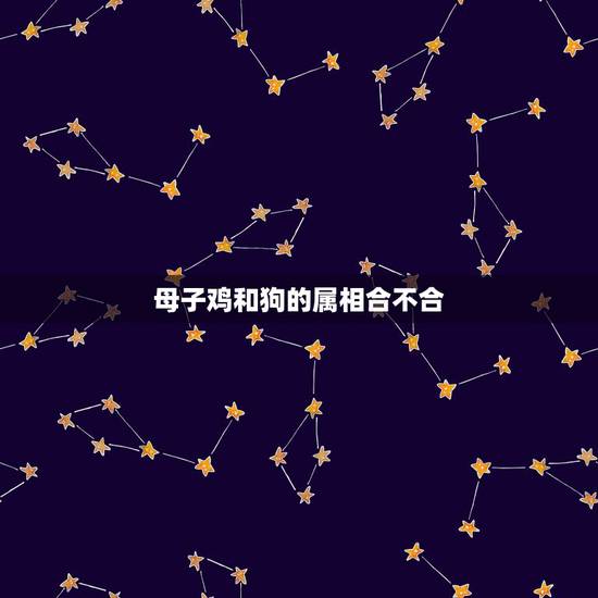 母子鸡和狗的属相合不合,男鸡和女狗的属相合不合?男是二月份,女是三月份 母子鸡和狗的属相合不合,男鸡和女狗的属相合不合?男是二月份,女是三月份