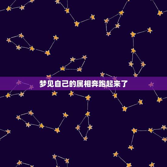 梦见自己的属相奔跑起来了,梦见自己在奔跑~怎么回事啊~ 梦见自己的属相奔跑起来了,梦见自己在奔跑~怎么回事啊~