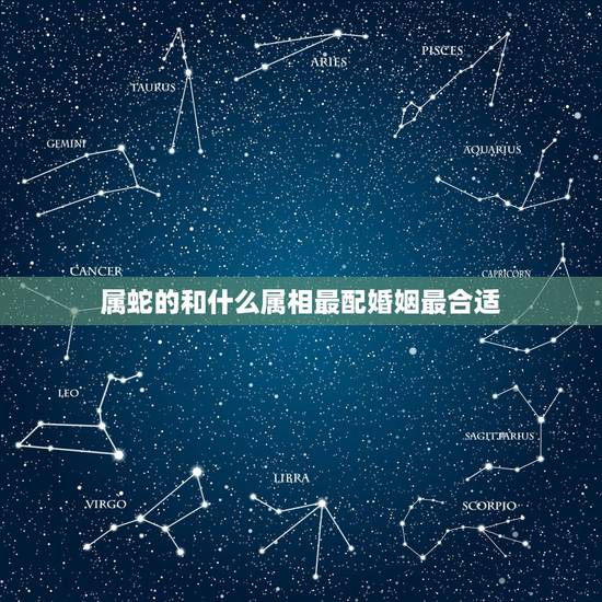 属蛇的和什么属相最配婚姻最合适，男蛇配什么属相更好