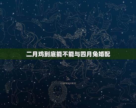 二月鸡到底能不能与四月兔婚配，兔和鸡怎么才不相冲