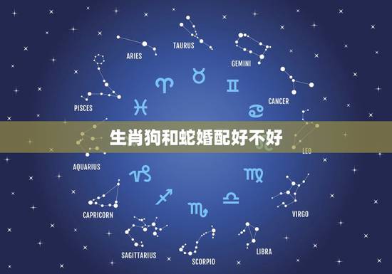 生肖狗和蛇婚配好不好,算命狗和蛇母女关系好不好 生肖狗和蛇婚配好不好,算命狗和蛇母女关系好不好