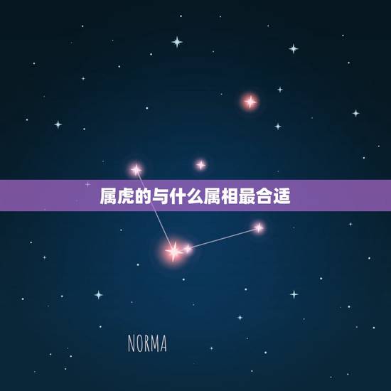 属虎的与什么属相最合适，属虎的女人和什么属相最配