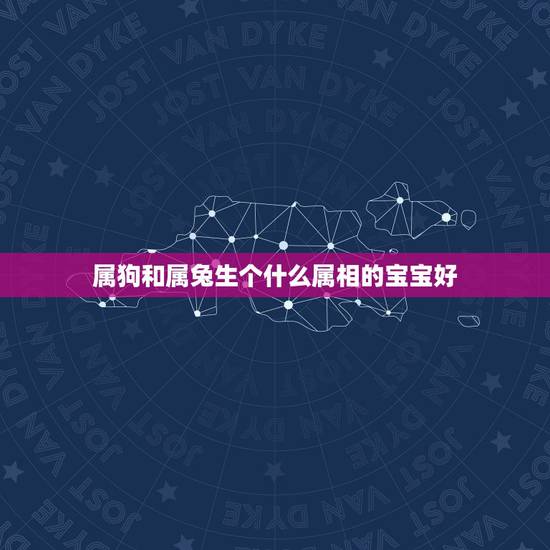 属狗和属兔生个什么属相的宝宝好，属兔和什么属相比较相配