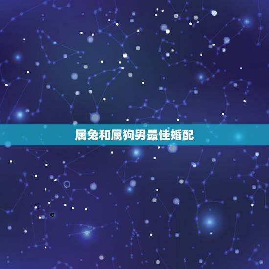 属兔和属狗男最佳婚配，属狗和什么属相最配 属狗的属相婚配表大全