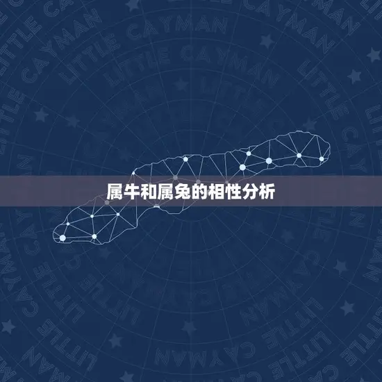 属牛和属兔的相性分析