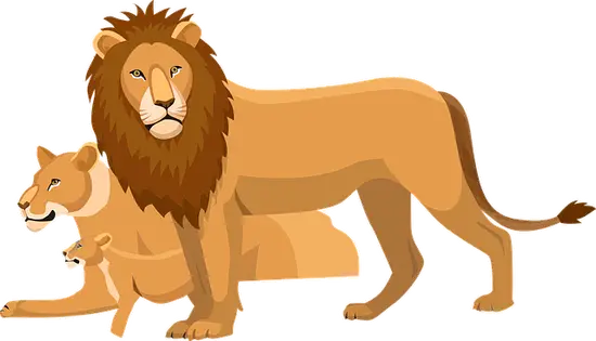 狮子座今日运势财运方位(财富之门即将开启)